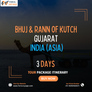 Bhuj & Rann of Kutch - Gujarat, India | 3 Days (Asia)