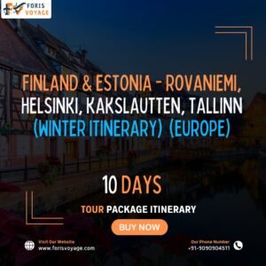 Finland & Estonia - Rovaniemi, Helsinki, Kakslautten, Tallinn (Winter Itinerary) | 10 days (Europe)